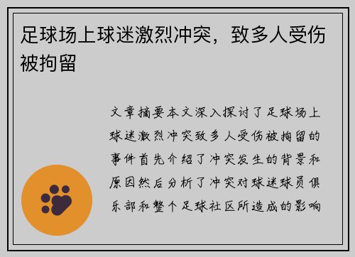 足球场上球迷激烈冲突，致多人受伤被拘留